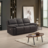 Grey sofa in a living room with a wooden coffee table and decorative items.