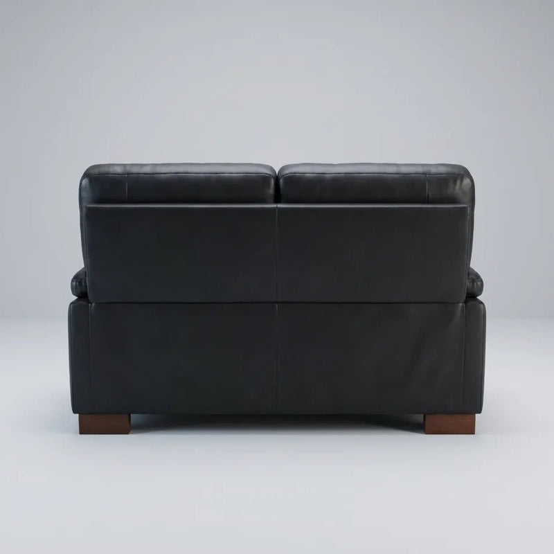 black-leather-2-seater-sofa