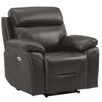 Renato Grey Leather Power Recliner Chair